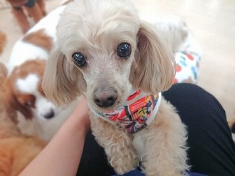 きゅるんきゅるん💕
